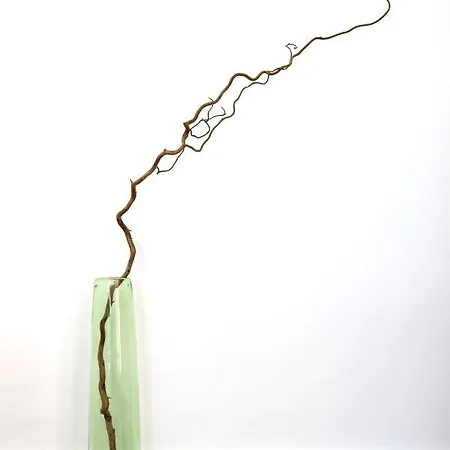 Centre D'antibes - 2 Chambres Avec Parking Lägenhet Antibes